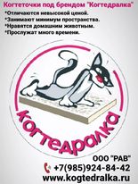 фелинолог обучение в москве